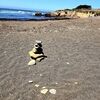 oceanlove2024